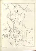  no thumbnail available