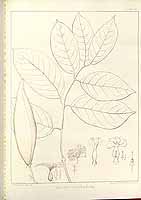  no thumbnail available