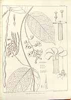  no thumbnail available