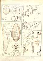  no thumbnail available