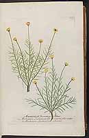  no thumbnail available