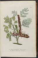  no thumbnail available