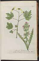  no thumbnail available