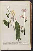  no thumbnail available