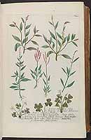  no thumbnail available