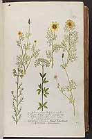  no thumbnail available