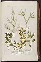  no thumbnail available