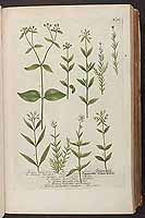  no thumbnail available