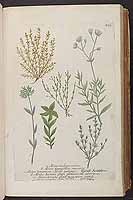  no thumbnail available