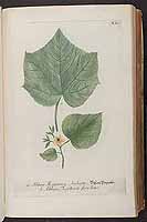  no thumbnail available