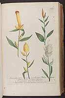  no thumbnail available