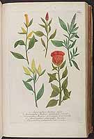  no thumbnail available