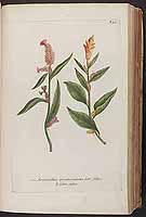  no thumbnail available