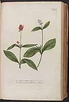  no thumbnail available