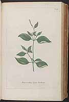  no thumbnail available