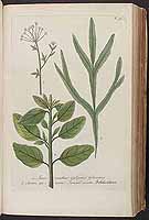  no thumbnail available