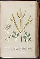  no thumbnail available