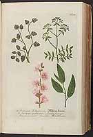  no thumbnail available