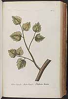  no thumbnail available