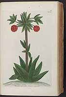  no thumbnail available