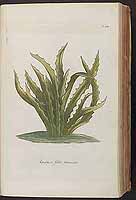  no thumbnail available