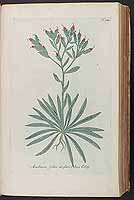  no thumbnail available