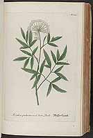  no thumbnail available