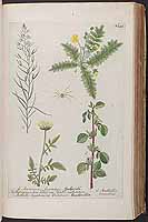  no thumbnail available