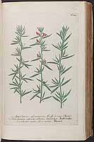  no thumbnail available