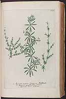  no thumbnail available