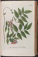  no thumbnail available