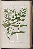  no thumbnail available