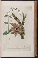  no thumbnail available