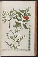  no thumbnail available