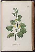  no thumbnail available