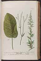  no thumbnail available