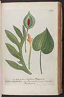  no thumbnail available