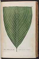  no thumbnail available