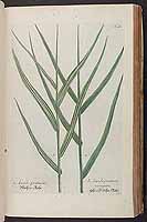  no thumbnail available