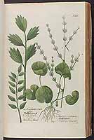  no thumbnail available