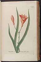  no thumbnail available