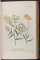  no thumbnail available