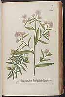  no thumbnail available