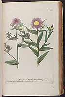  no thumbnail available