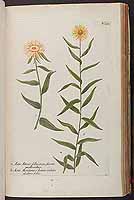  no thumbnail available