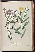  no thumbnail available