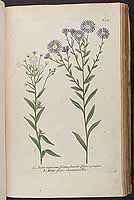  no thumbnail available