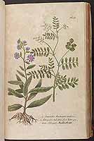  no thumbnail available