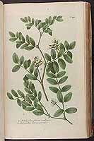  no thumbnail available