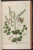  no thumbnail available